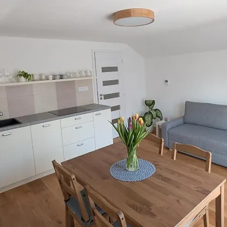 Vejminek Nmnm Apartment Nove Mesto na Morave